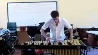 Voyage para Vibr&aacute;fono. G&eacute;rard Lecointe.