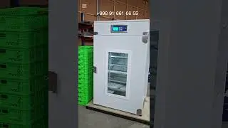 EGG BOX 1000 TALI INKUBATOR
