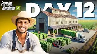 OUR NEW LETTUCE BUYING AND SELLING BUSINESS | DAY12 | FARMING SIMULATOR 25 |HINDI @TrazyL01