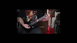 #riff #solarguitars #emgpickups #zakkwylde #metal #metalguitarist #deathmetal #evh5150 #metallica