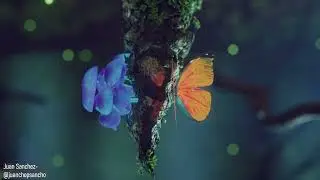 May 2025 Challenge Reel: Going Feywild
