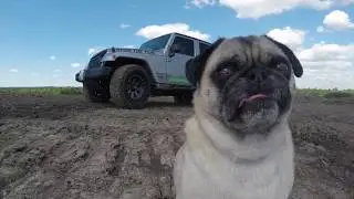 PUG Flies GoPro Karma