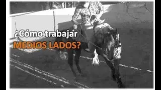 Arrendando Caballos - v18 ¿Cómo trabajar los  Medios Lados en Barda?