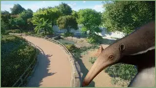 simple but pretty anteater habitat | Amalfina Zoo | Planet Zoo | speedbuild🌴