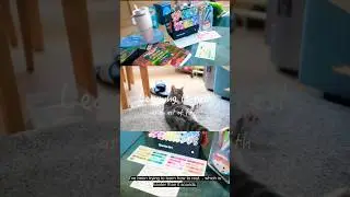 Learning to Rest Ep.3 Colouring #kitten #colouring #rest #hobbies #art #cat #dayinmylife #vlog