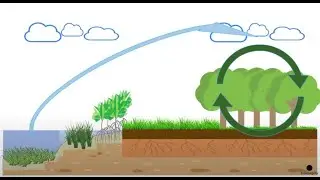 Biosphere Earth, the Human life-support system (2020)
