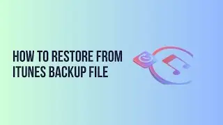 How to Restore from iTunes Backup File