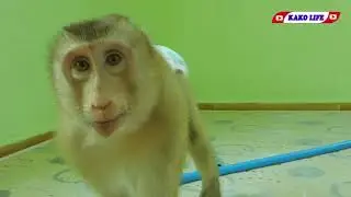 Little Kako Playing PVC Pipes