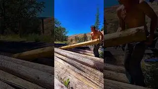 Homestead pasture fence project 🤝🛠️💪 #diy #idaho #homestead #life #pasture #fencing #project