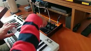 Behringer CRAVE Midiplus X3mini Cakewalk SPS25 Ploytec PL2 analog synth | Superteclados.com