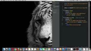 if-elif, else statements