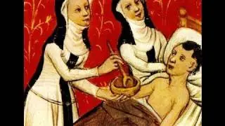 The Form and Function of Medieval Hospitals - Professor Carole Rawcliffe