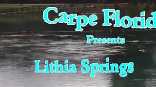 Lithia Springs, FL guide