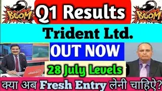 trident q1 results 2024 🔥trident share news | trident share latest news | trident share news today