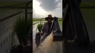 🌱 Smart Kisan | Smart Rice Planting#farming #shorts
