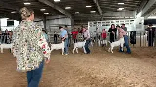 Team GCP- Sonny Brazil Classic Goats Class 8 01/25/25