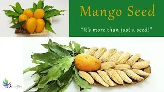 Mango Seed Powder | Benefits of Mango   Seed | How to open Mango Seed| आम की गुठली के फायदे