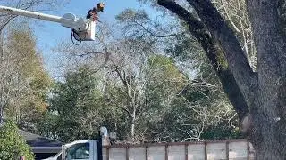 We Don&rsquo;t Cut Trees&hellip; We Slam-Dunk Logs! RPM Construction LLC & Tree Service Company! Watch