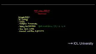 Paridad Put Call y Estrategias simples con Opciones