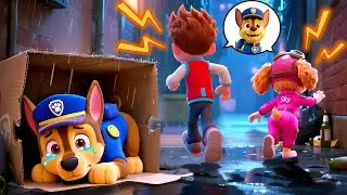 CHASE Is Abandoned At Birth? Please Don't Leave Him Alone! | Paw Patrol 3D Animation | Rainbow 3