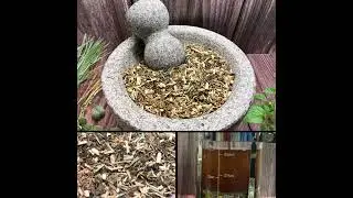 Brain Tea