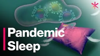 The Science Behind Your Crazy Pandemic Dreams