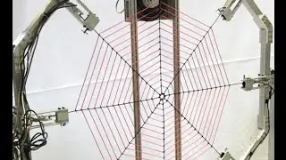 Giant web probes spider's sense of vibration