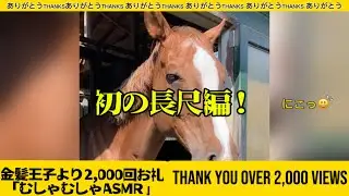 【感謝】2,000回再生ありがとう。金髪王子が贈る、癒やしの5分間｜ASMR & 海岸外乗