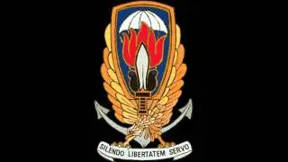 NATO's Secret Armies: Operation Gladio and Terrorism in Western Europe