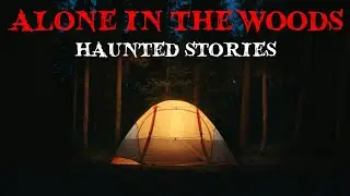 3 Creepy True Alone in the Woods Horror Stories | Nightbound Whispers