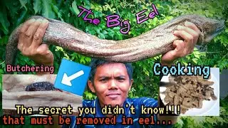Butchering and cooking the Big Eel/Poor man's recipe #Eel #Cooking #HowToCookMorayEel