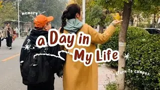 带孩子回自己母校观银杏｜重返大学校园--妈妈vlog日记