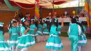 Naranja dulce ( rondas)