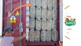 1075 PAKKEN HOOI VOOR PIPPI'S, LUKT HET ONS WEL?!