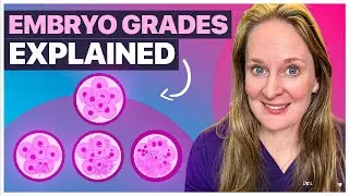 IVF Embryo Grading Explained: What Your Embryo Quality REALLY Means