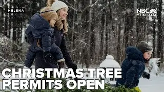 Christmas tree permits for Custer Gallatin National Forest available