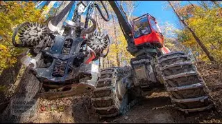 J. McCoy Lumber Company Ltd.:  Sustainable Forestry Practice in Action