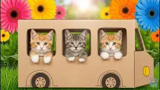 Cute Kittens Adventure 🐱 | Funny Cat Stoies ✅ #cat shorts #cute kittens #funny cats #kitten shorts