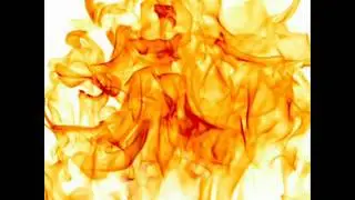 Ten Bears   Fireheart