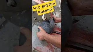 Шедевр внутри черепашьего камня! #золото #пирит #gold #stone #камнемания #минералы #камниобереги