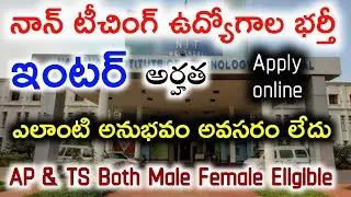 Non Teaching Jobs Notification | Inter Eligible | New Job Notification | Job Search || Jobs Academy