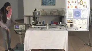 Experimental Demonstration of Physical Phenomenon