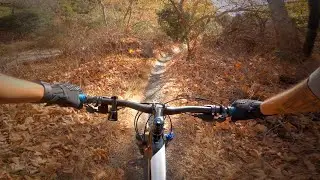 Pure singletrack riding in Los Angeles