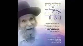 שלמה כהן-'וידום אהרן'-שיר לזכרו של מרן הרב שטיינמן זצוק