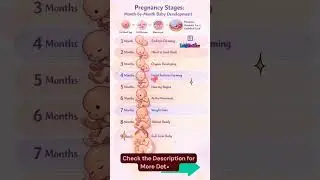 Pregnancy Week by Week 🤰 | Fetal Development Journey from Conception to Birth (Month by Month)
