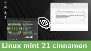 Linux mint 21 после установки, что нового, настройка, i3 10100f + RX 6400