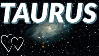 Taurus weekly love tarot reading 💗 Everyone is attracted to you... 💗 14-20 June 2020