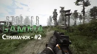 Стримачок по - Anomaly GAMMA #2