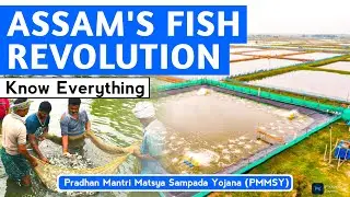 Assam&rsquo;s Fish Revolution | Pradhan Mantri Matsya Sampada Yojana (PMMSY) | #assamcurrentaffairs #2025