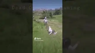 PLAYING RDR ONLINE BE LIKE... | Red Dead Redemption 2 #rdr2community #gaming #rdr2